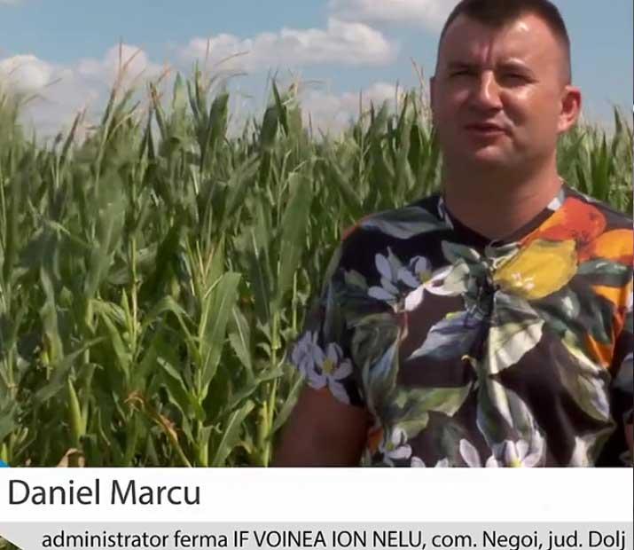 Daniel Marcu, partenerul nostru din Dolj, despre recomandările tehnice primite de la specialiștii Agricover
